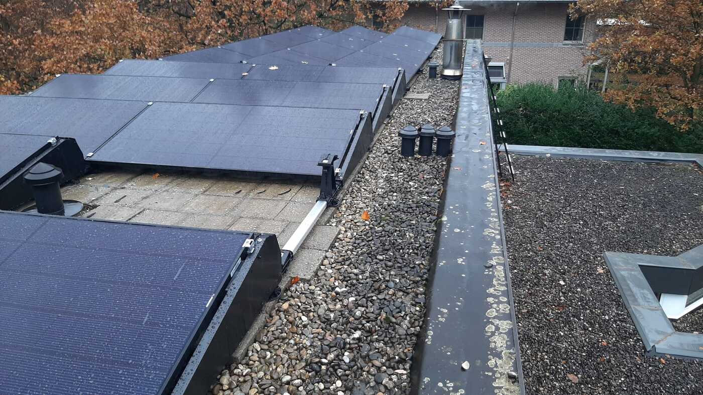 REC zonnepanelen 405 Wp ALPHA PURE Linden Zero Power